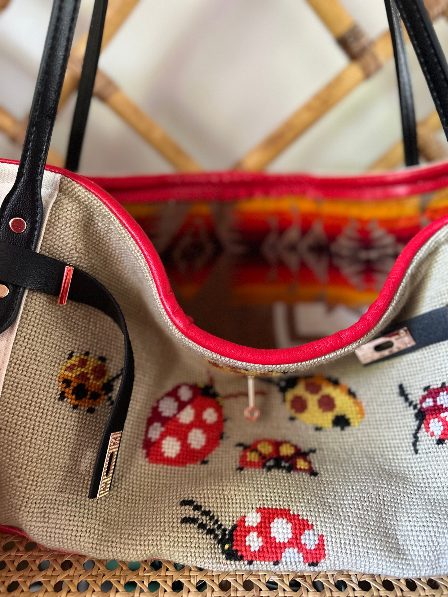 Lady Bug Boat Tote