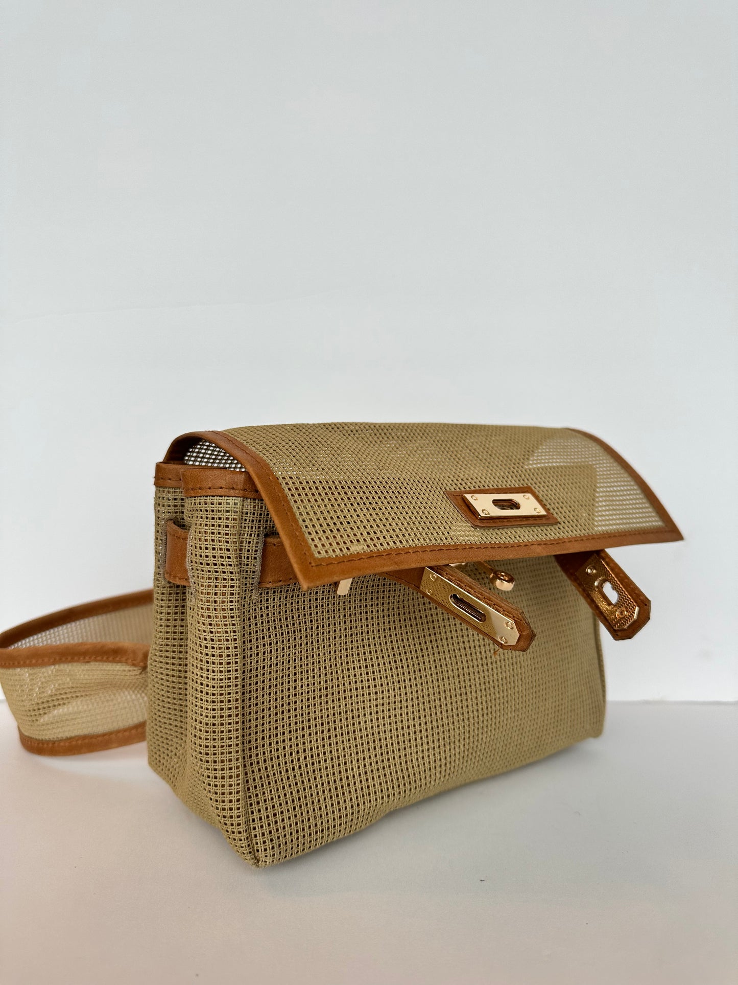 Ready to Stitch Needlepoint Handbag